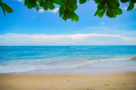 free beach pictures to print|free images no copyright beach.